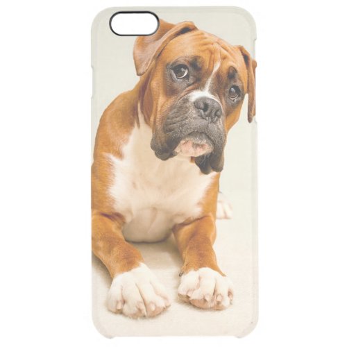 Boxer puppy on ivory cream backdrop clear iPhone 6 plus case