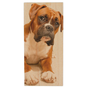 Boxer puppy on ivory cream backdrop. wood USB flash drive