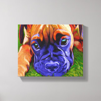 Boxer Puppy on Wrapped Canvas Print