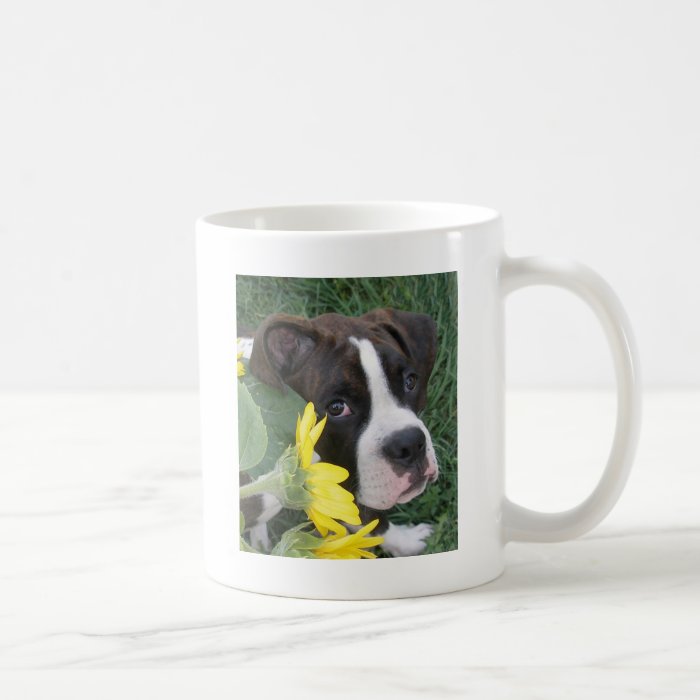 Boxer Puppy Peeking around Sunflowers Coffee Mugs