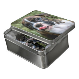 Boxer Puppy Photo Jigsaw Puzzles
