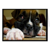 Boxer Puppy Postcard (Front Horizontal)
