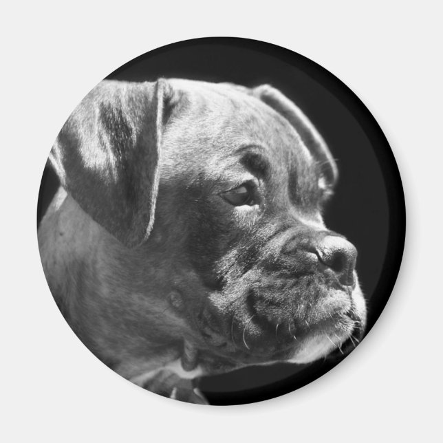 Boxer puppy round magnet (Front)