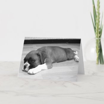Boxer Puppy " Sasha" Relaxing Greeting Card by ritmoboxer at Zazzle