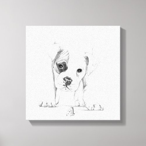 Boxer Puppy Sketch Canvas Print