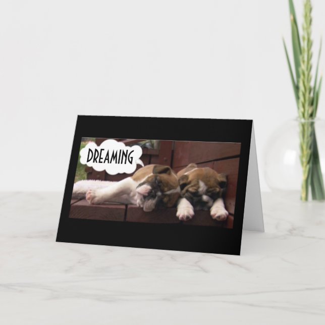 BOXER PUPS WISH YOU WISH *THE BEST BIRTHDAY EVER** CARD (Front)