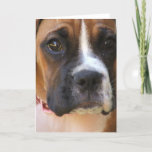 Boxer Rescue Greeting Card