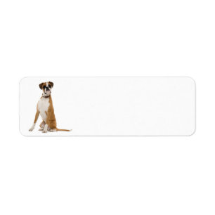 Boxer Return Address Labels