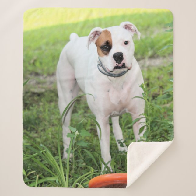 Boxer Sherpa Blanket (Front)