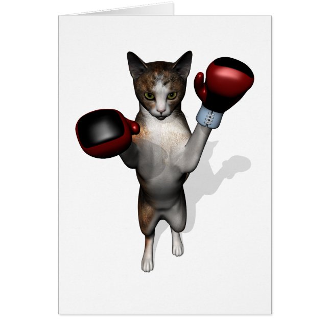 Boxer Tabby Cards (Front)