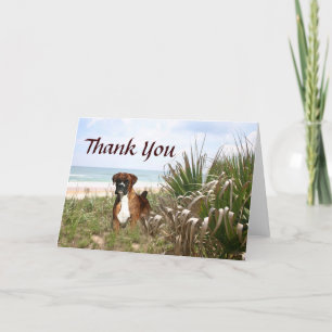 Boxer Thank You Card Hiding In The Beachgrass