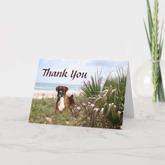 Boxer Thank You Card Hiding In The Beachgrass (Front)