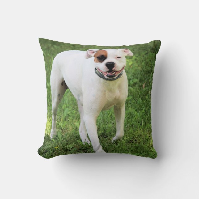 Boxer  throw pillow (Front)