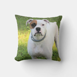 Boxer Throw Pillow