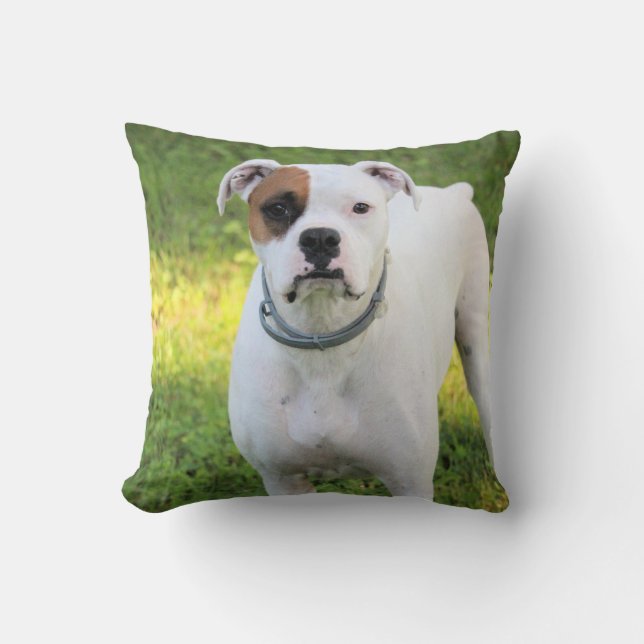 Boxer Throw Pillow (Front)