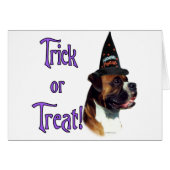 Boxer Trick (Front Horizontal)