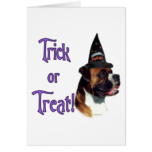 Boxer Trick Cards (Front)