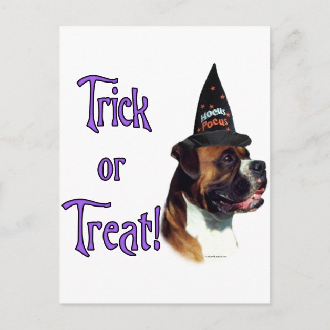 Boxer Trick Postcard (Front)