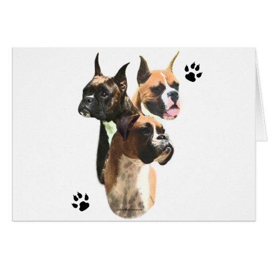 Boxer Trio (Front Horizontal)