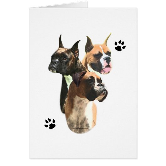 Boxer Trio Cards (Front)