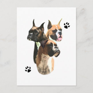Boxer Trio Postcard