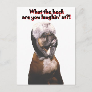 Boxer: What the Heck! Postcard