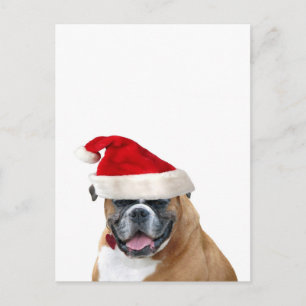 Boxer with a Santa hat Holiday Postcard