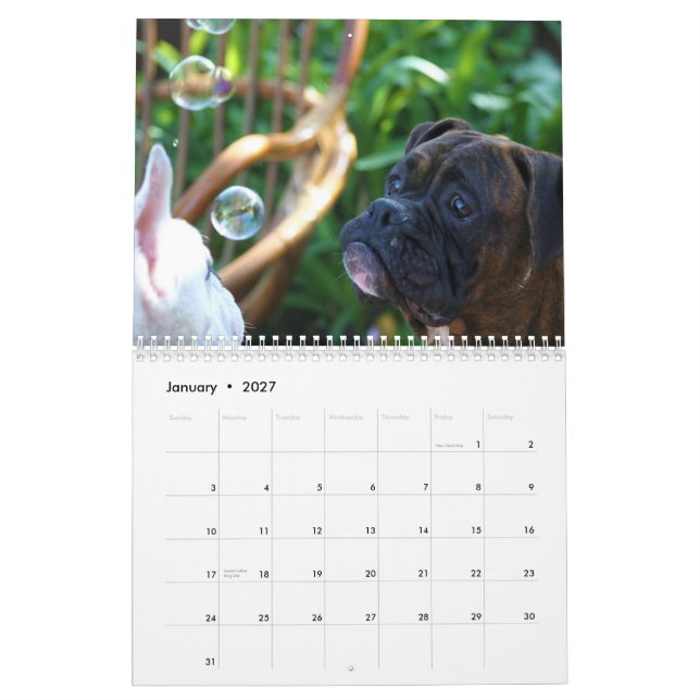Boxers 2013 Calendar (Jan 2027)