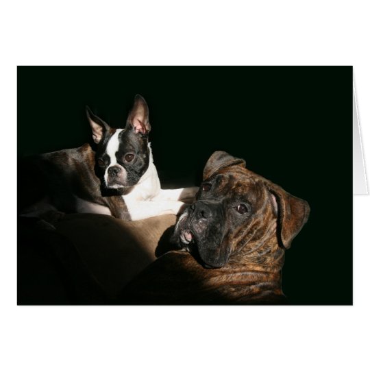Boxers and Bostons: Awesome Twosome 2 Card
