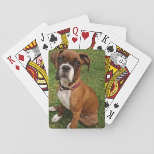 BOXERS ARE SPECIAL  POKER CARDS