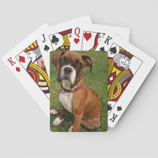 BOXERS ARE SPECIAL  POKER CARDS (Back)