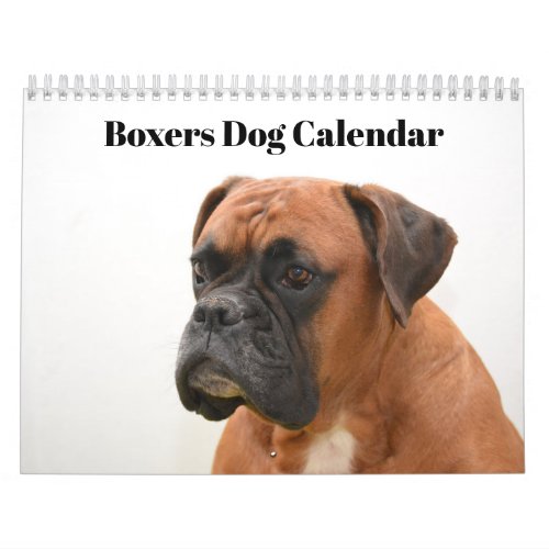 Boxers Dogs 2020 Calendar