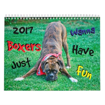 Boxers Just Wanna Have Fun 2017 Calendar by WestCoastBoxerRescue at Zazzle