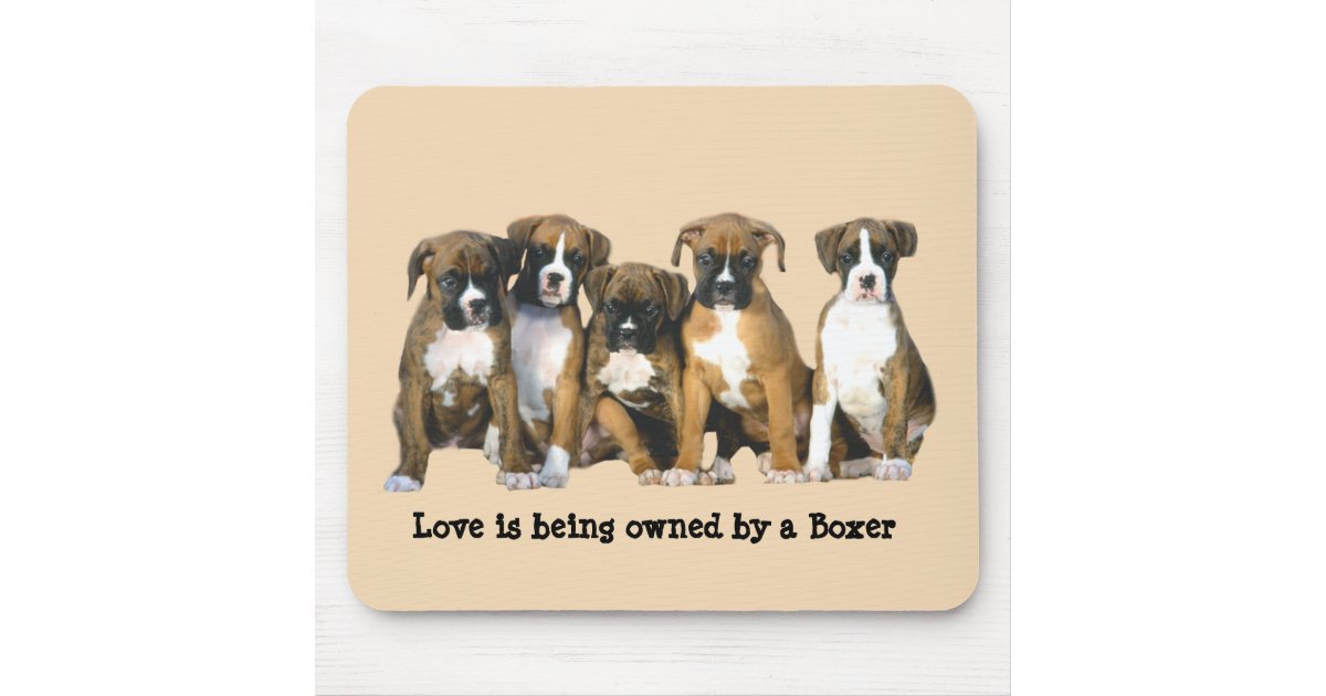 Boxers Mousepad | Zazzle