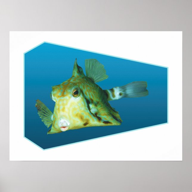 Boxfish - Design gradient blue background |  Poster (Front)