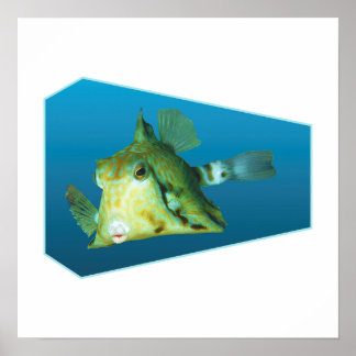 Boxfish - Design gradient blue background | Poster