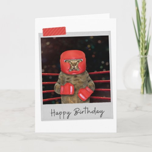 Boxing Cat Funny Birthday Card