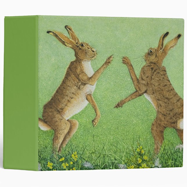 Boxing clever binder (Front/Spine)