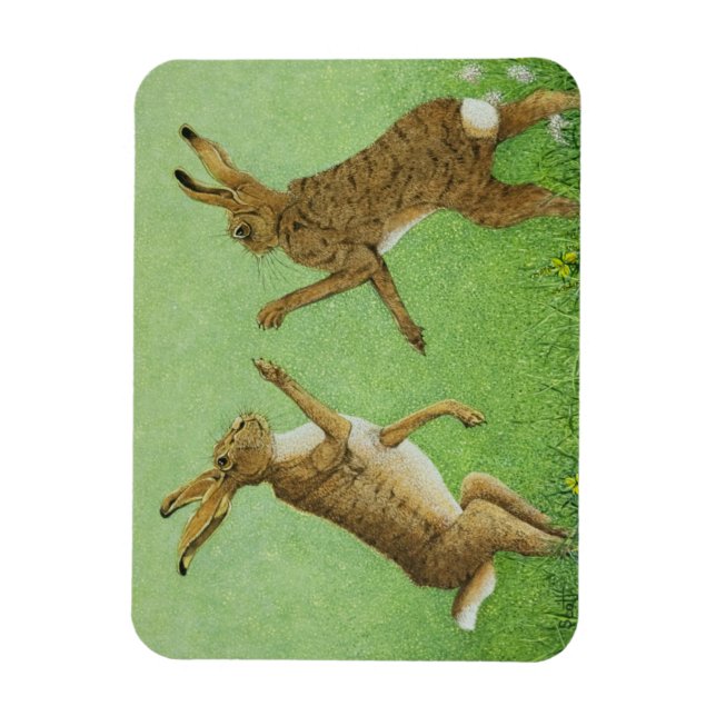 Boxing clever magnet (Vertical)