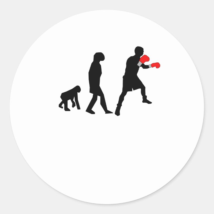 Boxing Evolution Round Stickers