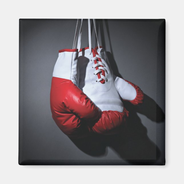 Boxing gloves magnet (Front)