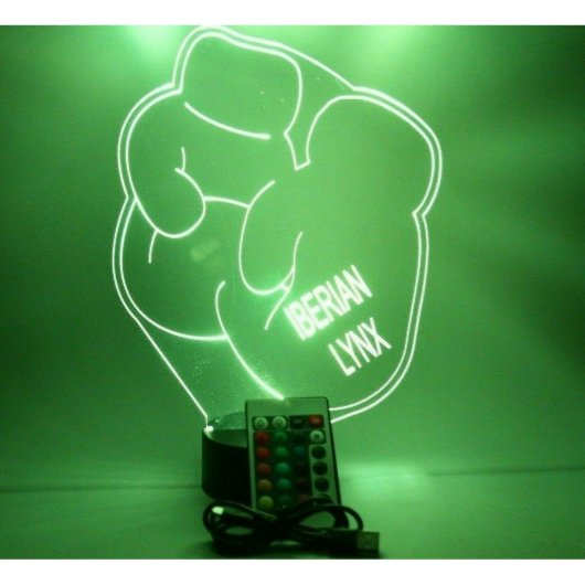 Boxing Gloves Night Light Up Lamp LED Personalized (Front)