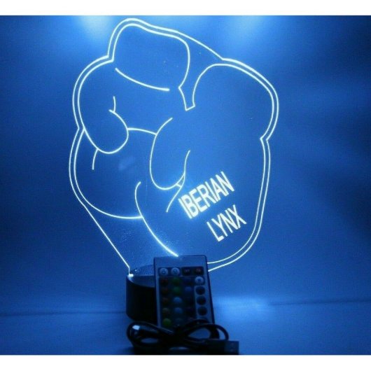 Boxing Gloves Night Light Up Lamp LED Personalized (Front)