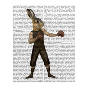 Boxing Hare Acrylic Print