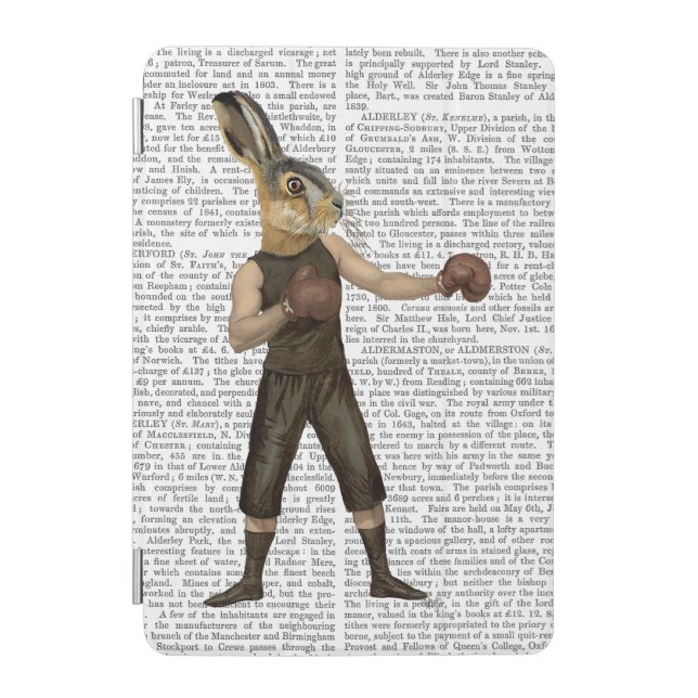 Boxing Hare iPad Mini Cover (Front)