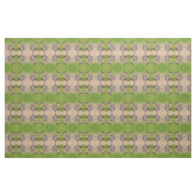 Boxing Kangaroos Fabric (Yard)