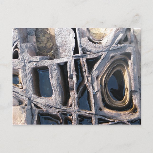 Boxwork Concretions on Wasp Head Postcard (Front)