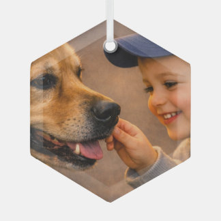 Boy and His Dog Glass Hexagon Ornament