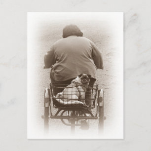 Boy And Pug Dog Going For A Ride Postcard