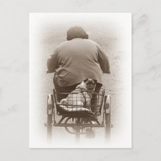 Boy And Pug Dog Going For A Ride Postcard